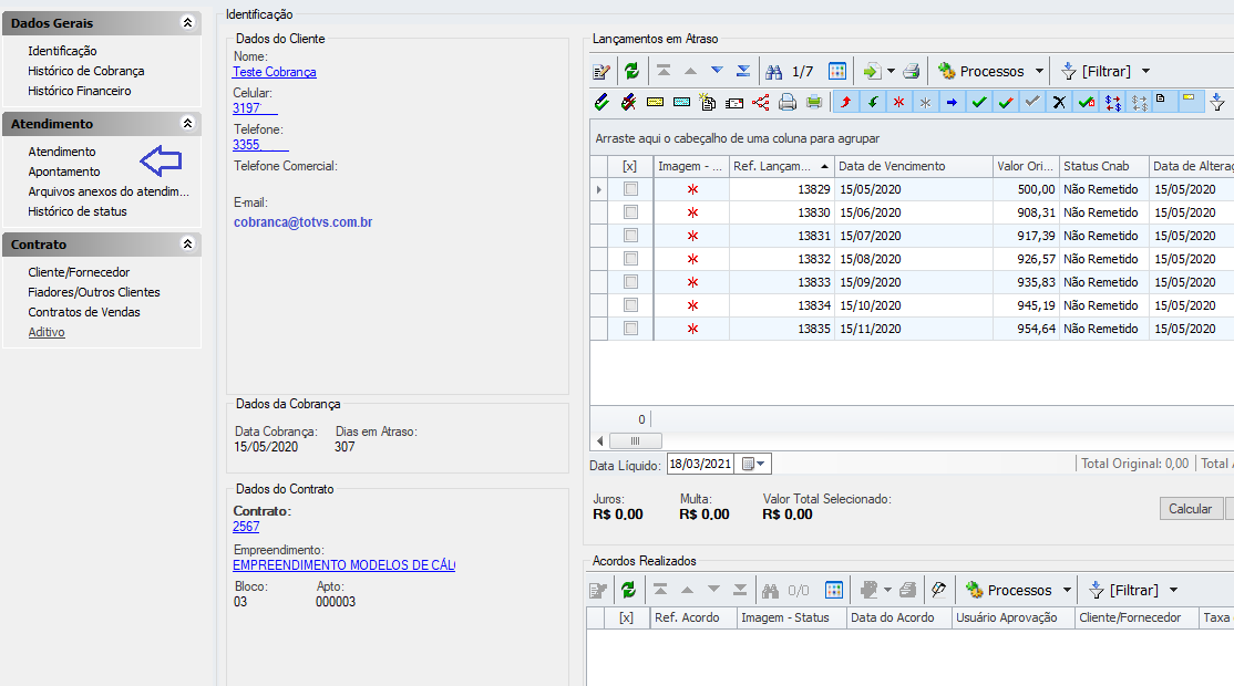 Linha RM > TCGI - Visão de Atendimentos > image2021-3-18_12-31-24.png
