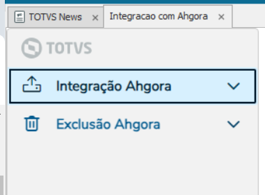 Linha Datasul > Integração RH Datasul X Ahgora > image-2024-10-24_9-15-47.png