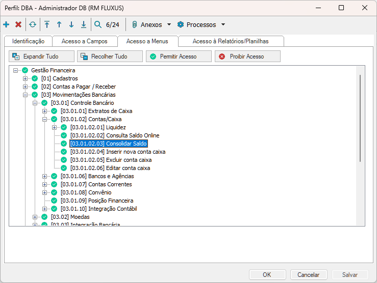 Linha RM > Consolidar Saldo da Conta/Caixa > image-2025-8-14_10-6-47.png